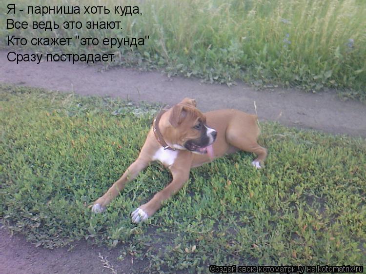 Я - парниша хоть куда, Все ведь это знают. Кто скажет "это ерунда" Сразу пострадает.... Котоматрица: Я - парниша хоть куда, Все ведь это знают. Кто скажет "это ерунда" Сразу пострадает.
