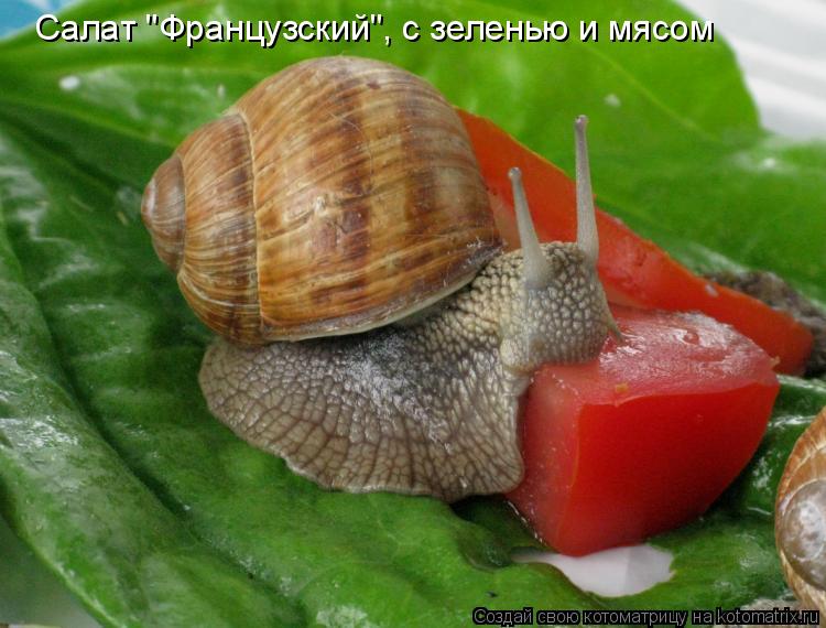 Салат "Французский", с зеленью и мясом... Котоматрица: Салат "Французский", с зеленью и мясом