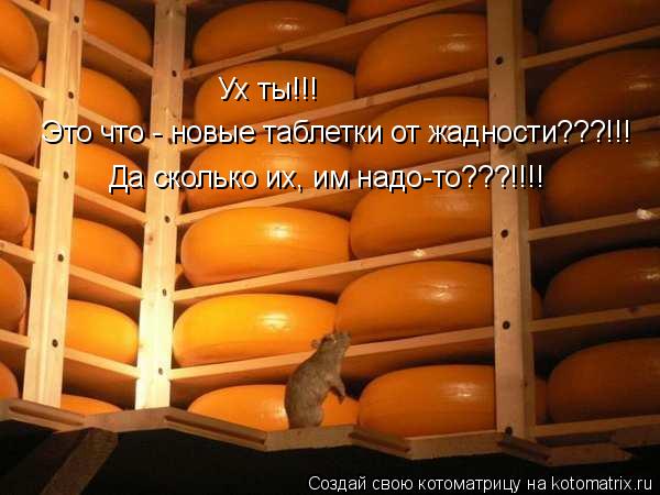 Ух ты!!! Это что - новые таблетки от жадности???!!! Да сколько их, им надо-то???!!!!... Котоматрица: Ух ты!!! Это что - новые таблетки от жадности???!!! Да сколько их, им надо-то???!!!!