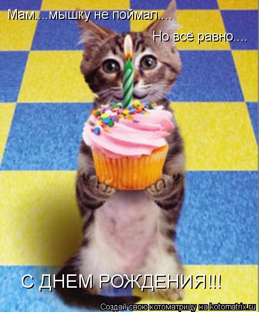 Мам....мышку не поймал.... Но всё равно.... С ДНЕМ РОЖДЕНИЯ!!!... Котоматрица: Мам....мышку не поймал.... Но всё равно.... С ДНЕМ РОЖДЕНИЯ!!!