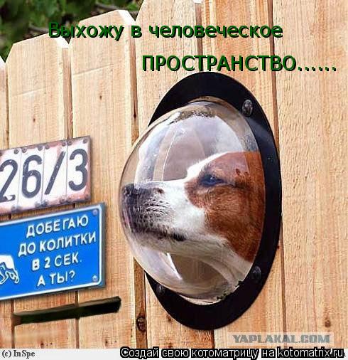 Выхожу в человеческое ПРОСТРАНСТВО......... Котоматрица: Выхожу в человеческое ПРОСТРАНСТВО......