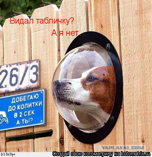 Видал табличку? А я нет....... Котоматрица: Видал табличку? А я нет....