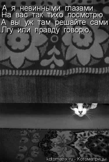 Котоматрица: А  я  невинными  глазами На  вас  так  тихо  посмотрю А  вы  уж  там  решайте  сами Лгу  или  правду  говорю.