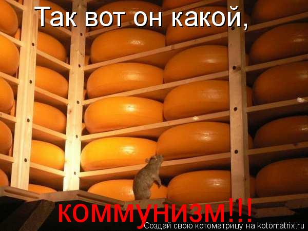 Так вот он какой, коммунизм!!!... Котоматрица: Так вот он какой, коммунизм!!!