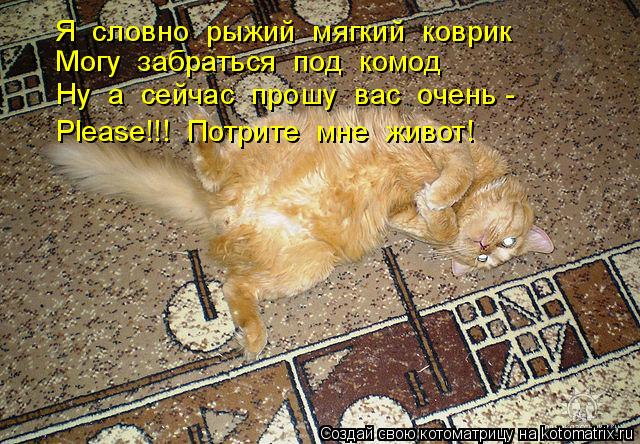 Котоматрица: Я  словно  рыжий  мягкий  коврик Могу  забраться  под  комод Ну  а  сейчас  прошу  вас  очень - Please!!!  Потрите  мне  живот!