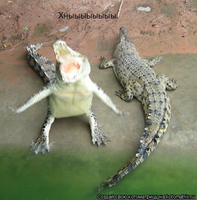 Котоматрица: Хныыыыыыыы