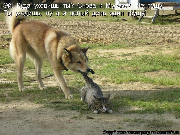 Котоматрица: Эй!  Куда  уходишь  ты?  Снова  к  Муське?   Не  пущу! Ты  уходишь,  ну  а  я  целый  день  один  грущу!