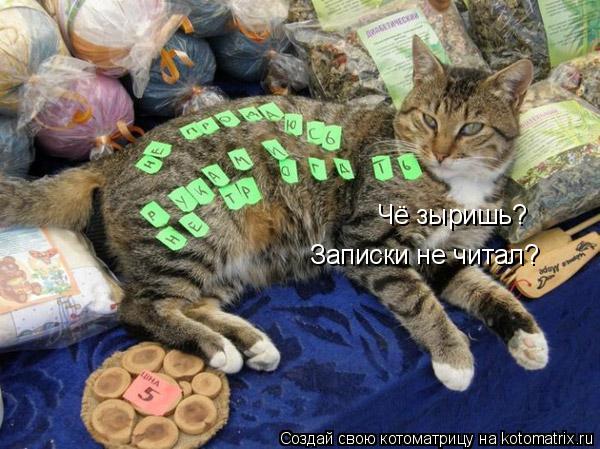 Котоматрица: Чё зыришь? Записки не читал?