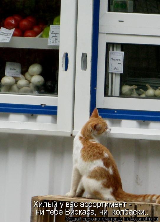 Котоматрица: Хилый у вас ассортимент -   ни тебе Вискаса, ни  колбаски...