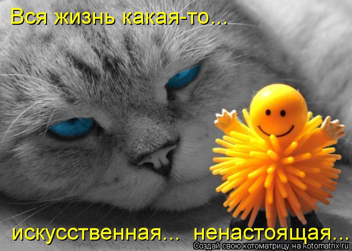 Котоматрица: Вся жизнь какая-то... искусственная...  ненастоящая...
