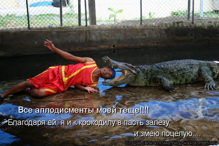 Котоматрица: Все аплодисменты моей тёще!!!! и змею поцелую.... Благодаря ей, я и к крокодилу в пасть залезу,