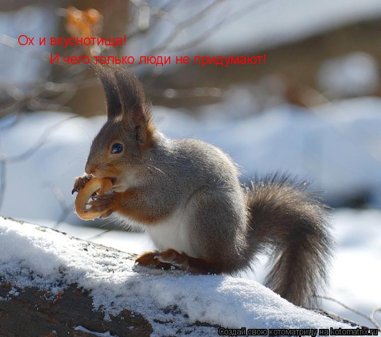 Котоматрица: Ох и вкуснотища! И чего только люди не придумают!