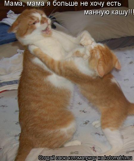 Котоматрица: Мама, мама я больше не хочу есть манную кашу!!!