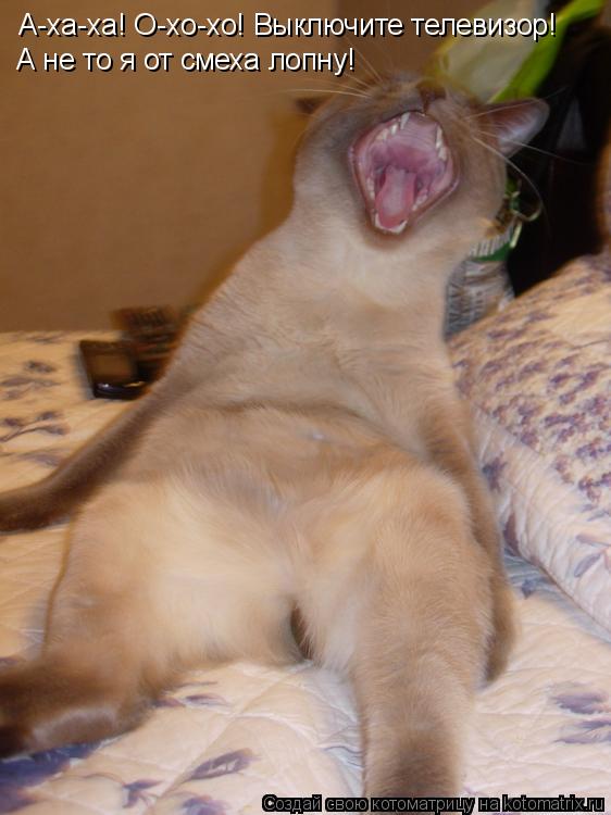 Котоматрица: А-ха-ха! О-хо-хо! Выключите телевизор! А не то я от смеха лопну!