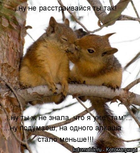 Котоматрица: ...ну ты ж не знала, что я уже "там"... ...ну подумаеш, на одного алкаша  стало меньше!!! ...ну не расстраивайся ты так!