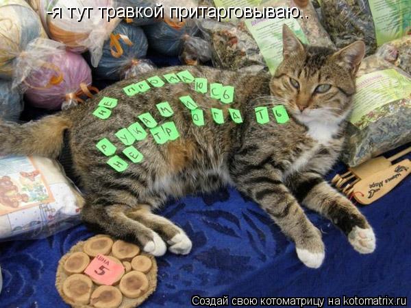 -я тут травкой притарговываю..... Котоматрица: -я тут травкой притарговываю..