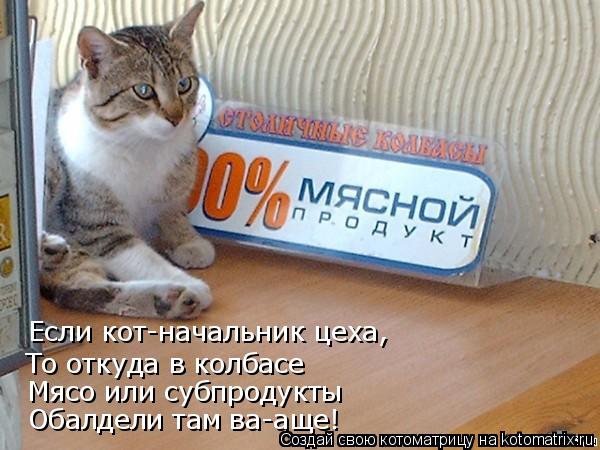 Котоматрица: Если кот-начальник цеха, То откуда в колбасе Мясо или субпродукты Обалдели там ва-аще!