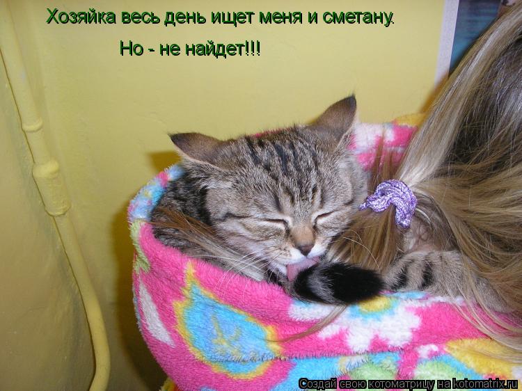 Котоматрица: Хозяйка весь день ищет меня и сметану. Но - не найдет!!!