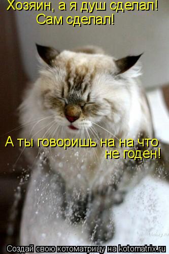 Котоматрица: Хозяин, а я душ сделал! Сам сделал! А ты говоришь на на что не годен!