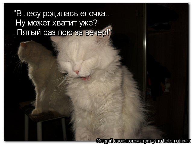 Котоматрица: "В лесу родилась елочка... Ну может хватит уже?  Пятый раз пою за вечер!"