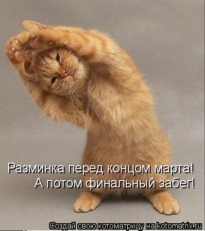 Котоматрица: Разминка перед концом марта! А потом финальный забег!