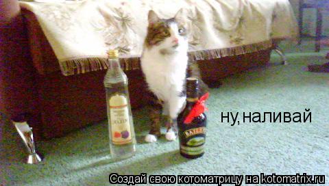 Котоматрица: ну,наливай