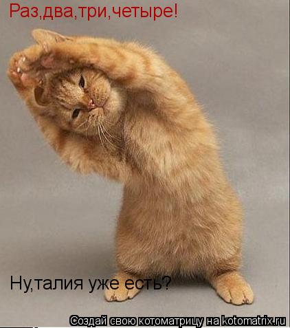 Котоматрица: Раз,два,три,четыре! Ну,талия уже есть?