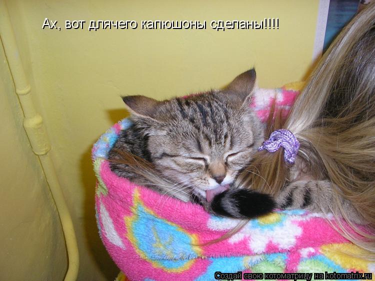 Котоматрица: Ах, вот длячего капюшоны сделаны!!!!