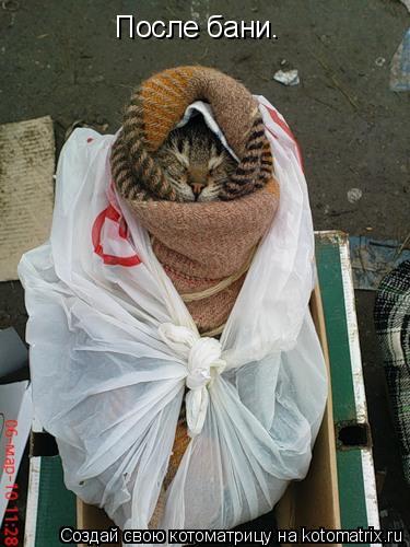 Котоматрица: После бани.