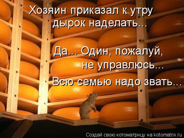Котоматрица: Хозяин приказал к утру  Да... Один, пожалуй, не управлюсь... Всю семью надо звать... дырок наделать...
