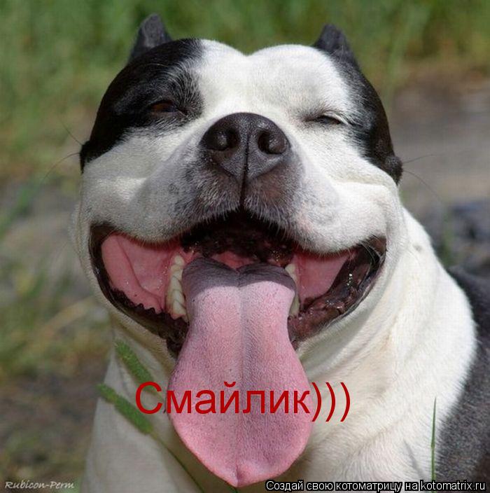 Котоматрица: Смайлик)))