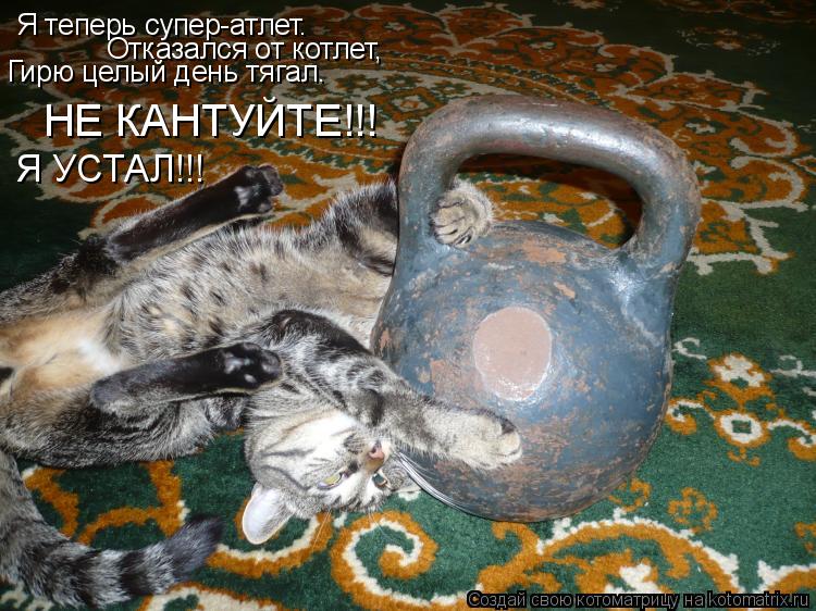 Котоматрица: Я теперь супер-атлет. Отказался от котлет, Гирю целый день тягал. НЕ КАНТУЙТЕ!!! Я УСТАЛ!!!
