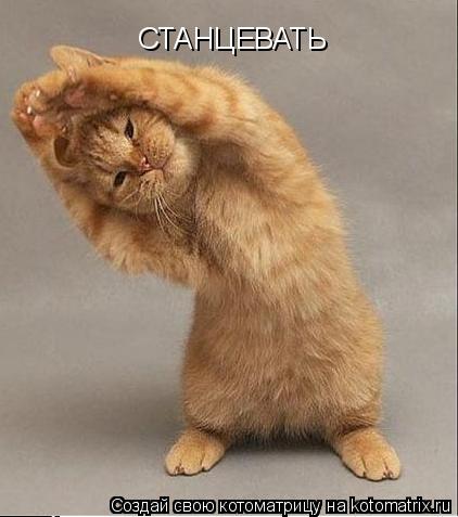 Котоматрица: СТАНЦЕВАТЬ