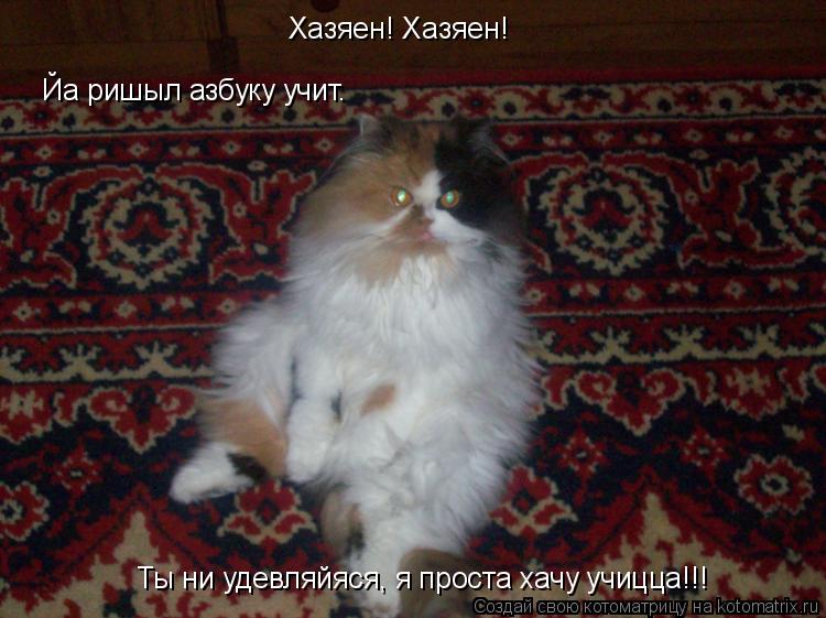 Котоматрица: Хазяен! Хазяен! Йа ришыл азбуку учит. Ты ни удевляйяся, я проста хачу учицца!!!