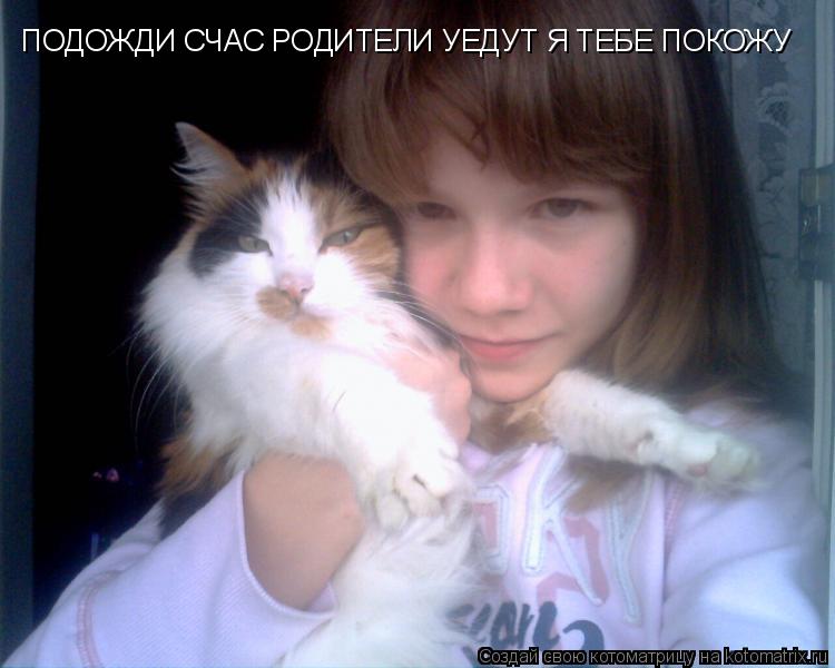 Котоматрица: ПОДОЖДИ СЧАС РОДИТЕЛИ УЕДУТ Я ТЕБЕ ПОКОЖУ