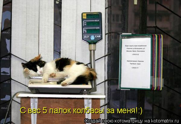 Котоматрица: С вас 5 палок колбасы за меня!:)
