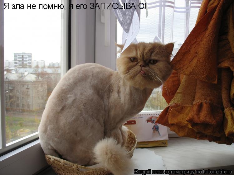 Котоматрица: Я зла не помню, я его ЗАПИСЫВАЮ!