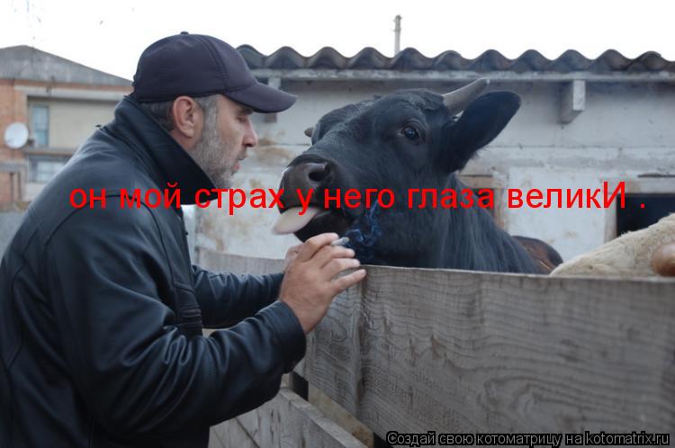 Котоматрица: он мой страх у него глаза великИ .