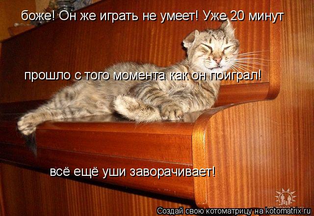 Котоматрица: боже! Он же играть не умеет! Уже 20 минут прошло с того момента как он поиграл!  всё ещё уши заворачивает!