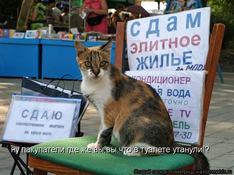Котоматрица: ну пакупатели где же вы,вы что в туалете утанули!?