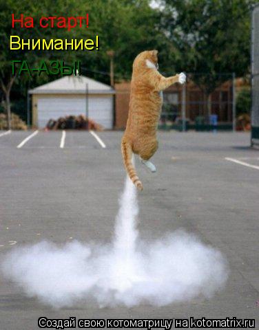 Котоматрица: На старт! Внимание! ГА-АЗЫ!