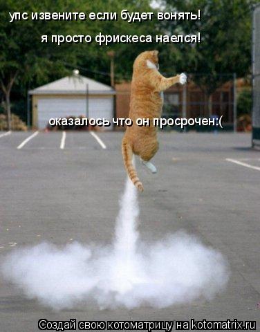 Котоматрица: упс извените если будет вонять! я просто фрискеса наелся! оказалось что он просрочен:(