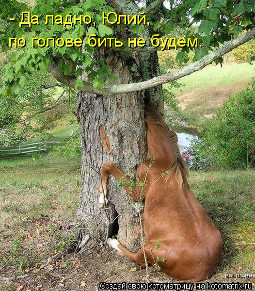 Котоматрица: - Да ладно, Юлий,  по голове бить не будем.