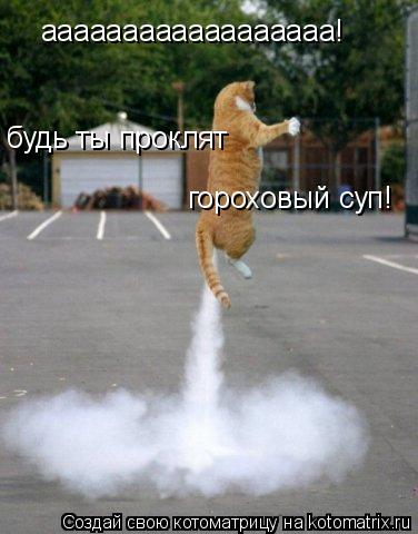 аааааааааааааааааа! будь ты проклят гороховый суп!... Котоматрица: аааааааааааааааааа! будь ты проклят гороховый суп!