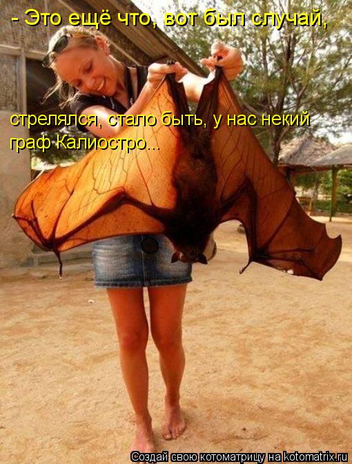 Котоматрица: стрелялся, стало быть, у нас некий граф Калиостро... - Это ещё что, вот был случай,