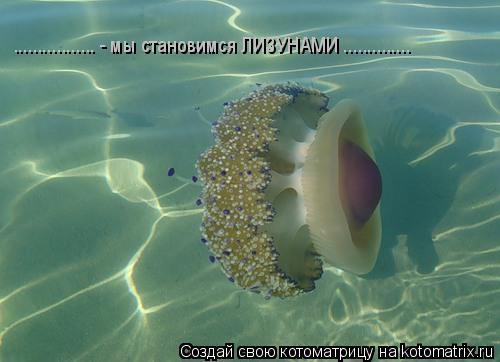 Котоматрица: ................. - мы становимся ЛИЗУНАМИ ..............
