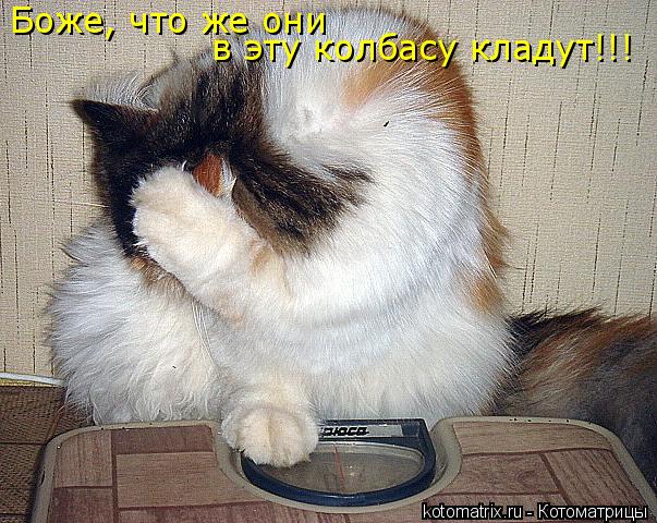 Котоматрица: Боже, что же они в эту колбасу кладут!!!