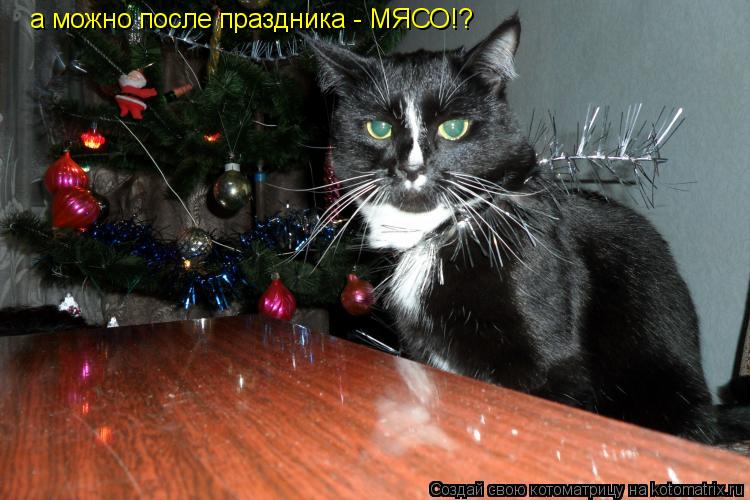 Котоматрица: а можно после праздника - МЯСО!?