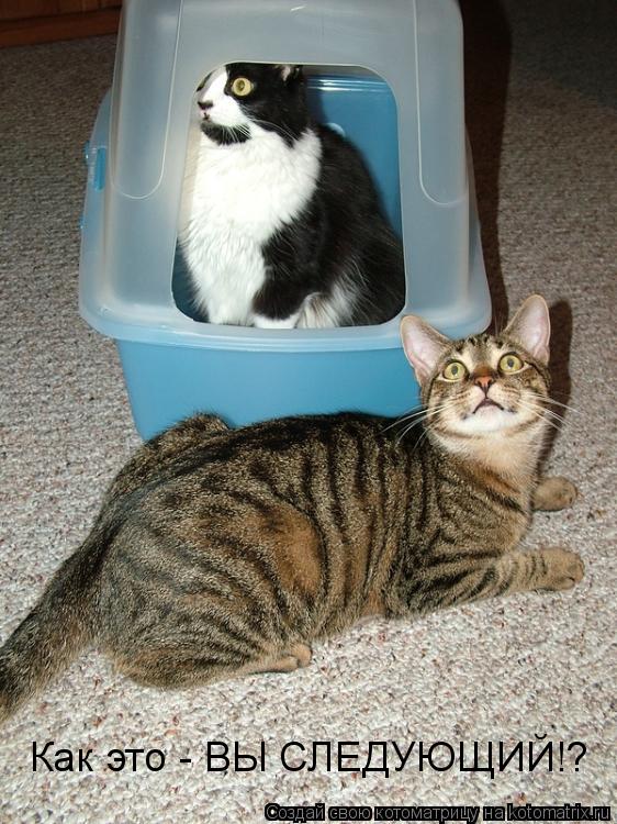 Котоматрица: Как это - ВЫ СЛЕДУЮЩИЙ!?