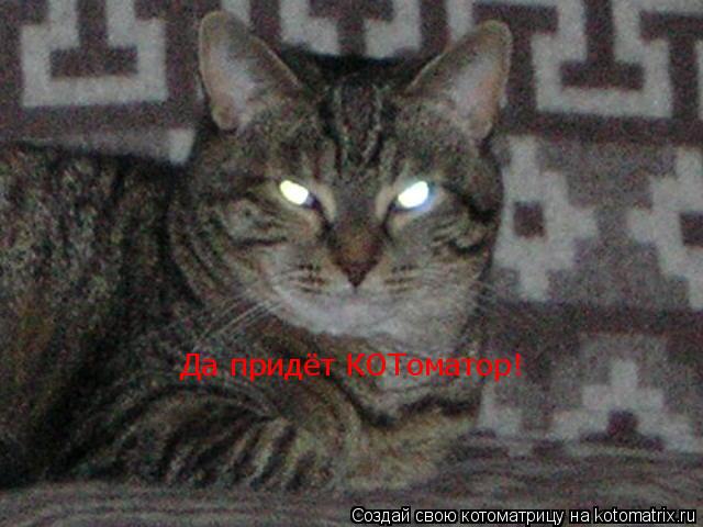 Котоматрица: Да придёт КОТоматор!